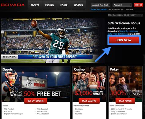 bovada twitter